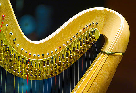 Harp detail